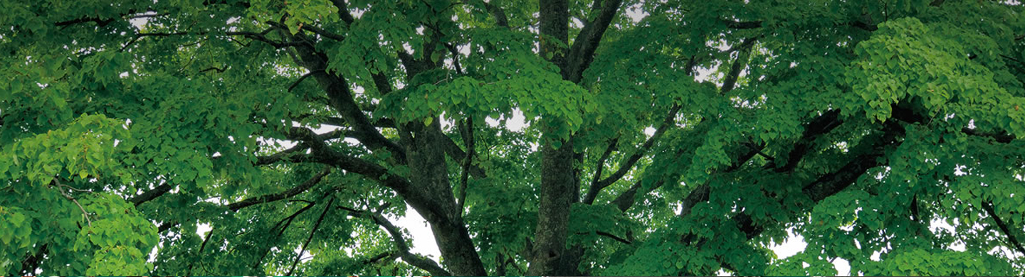 takigen环保五金件产品解决方案